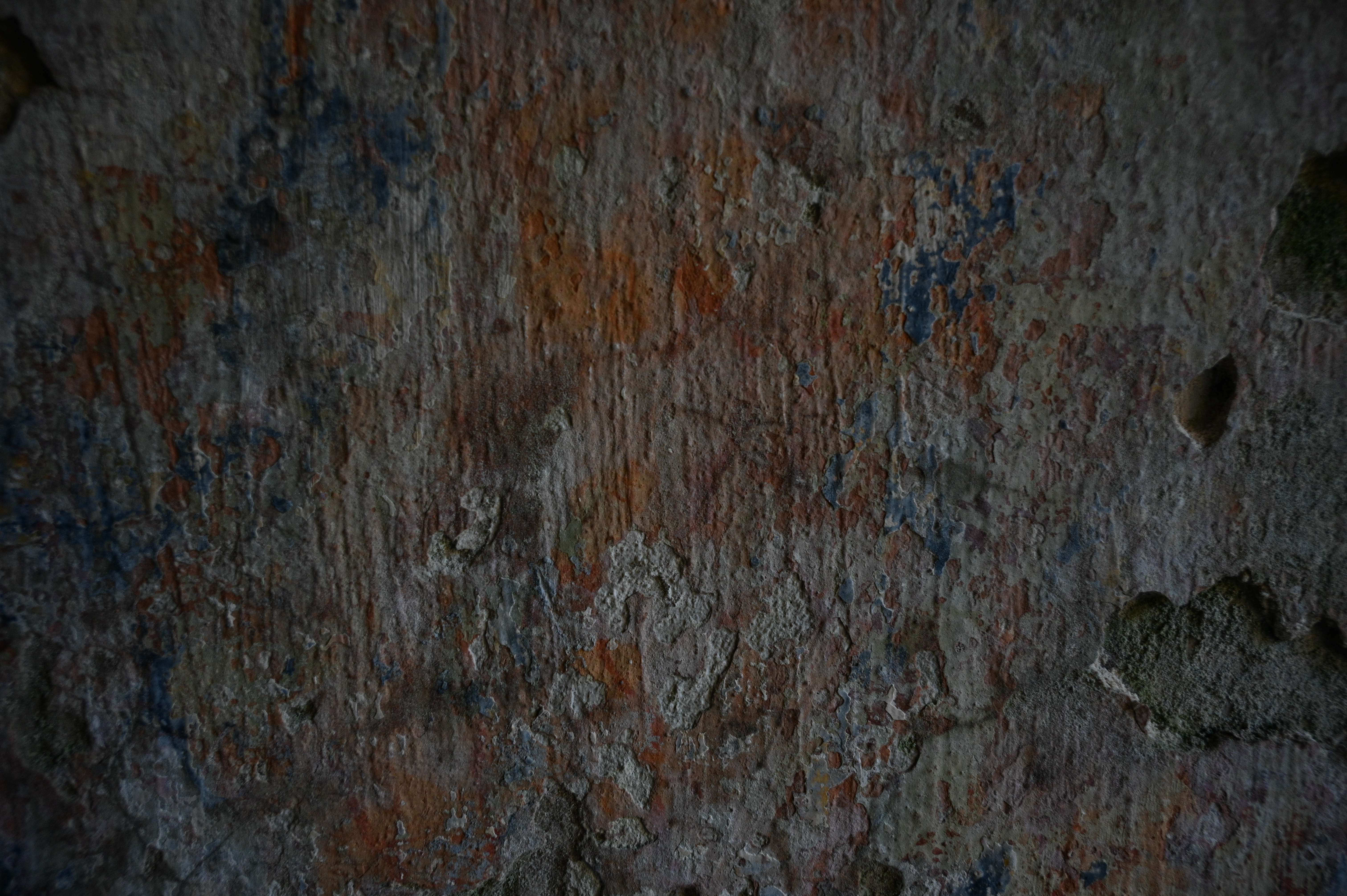 2025/10/18 - walk/DSC_0032.JPG